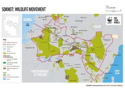 África - Wildlife Connect Powered by WWF